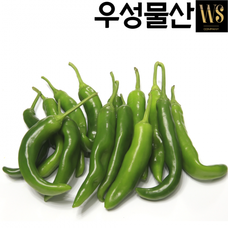 신선야채 아삭한 오이고추 5kg 이미지