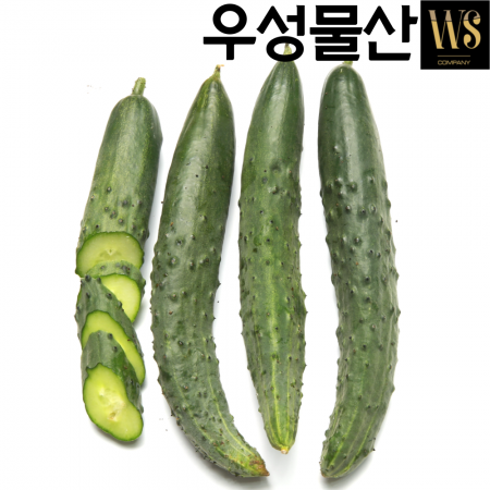신선야채 수분 가득한 청오이 10kg 대용량업소용청오이 이미지