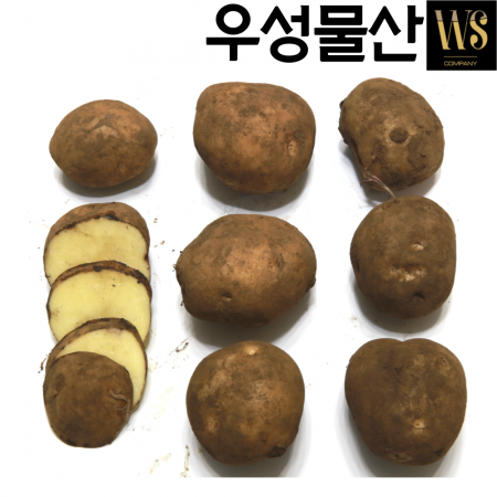 신선야채 국내산 감자 20kg 중사이즈 이미지