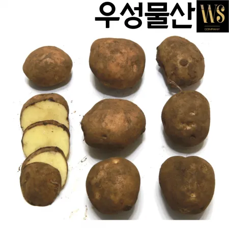 신선야채 국내산 감자 20kg 중사이즈