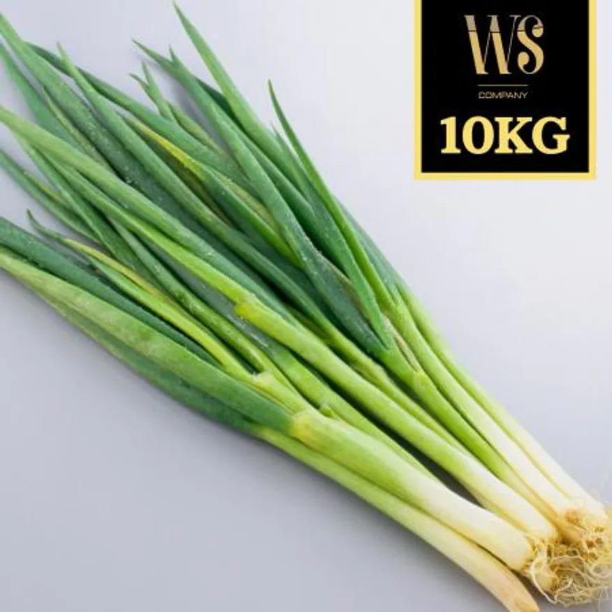 수입산 대파 10kg 중국산 신선야채 수입야채 이미지