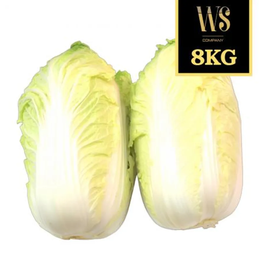 신선야채 알배기배추 특 8kg 쌈배추 쌈야채 이미지