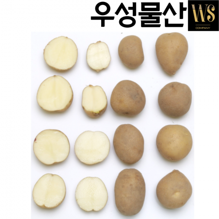 신선야채 국내산 감자 20kg 조림용 이미지