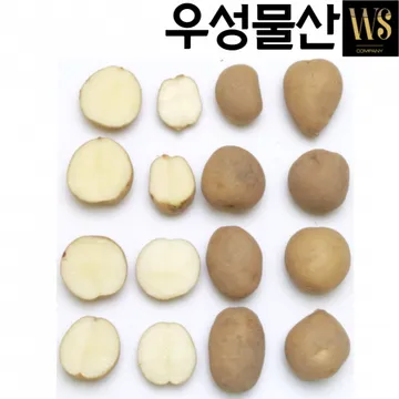 신선야채 국내산 감자 20kg 조림용