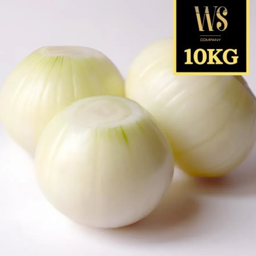 수입산 깐양파 10kg 중국산 신선야채 수입야채 이미지