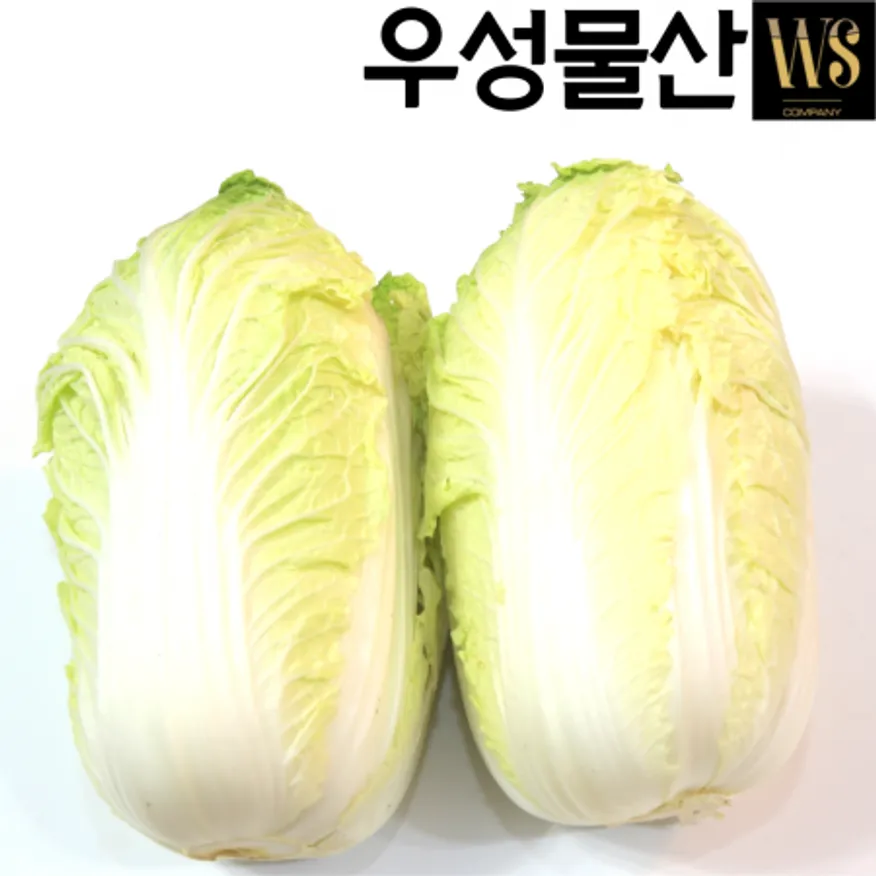 신선야채 알배기배추 특 8kg 쌈배추 쌈야채 이미지