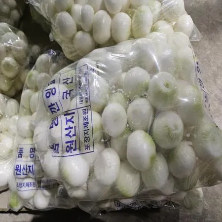 25년 햇 깐양파 (중) 5kg  이미지