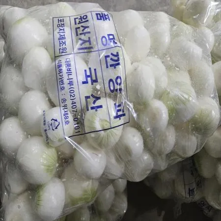 25년 햇 깐양파 (소) 5kg  이미지