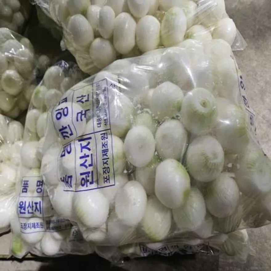 26년 햇 깐양파 (대) 10kg 이미지