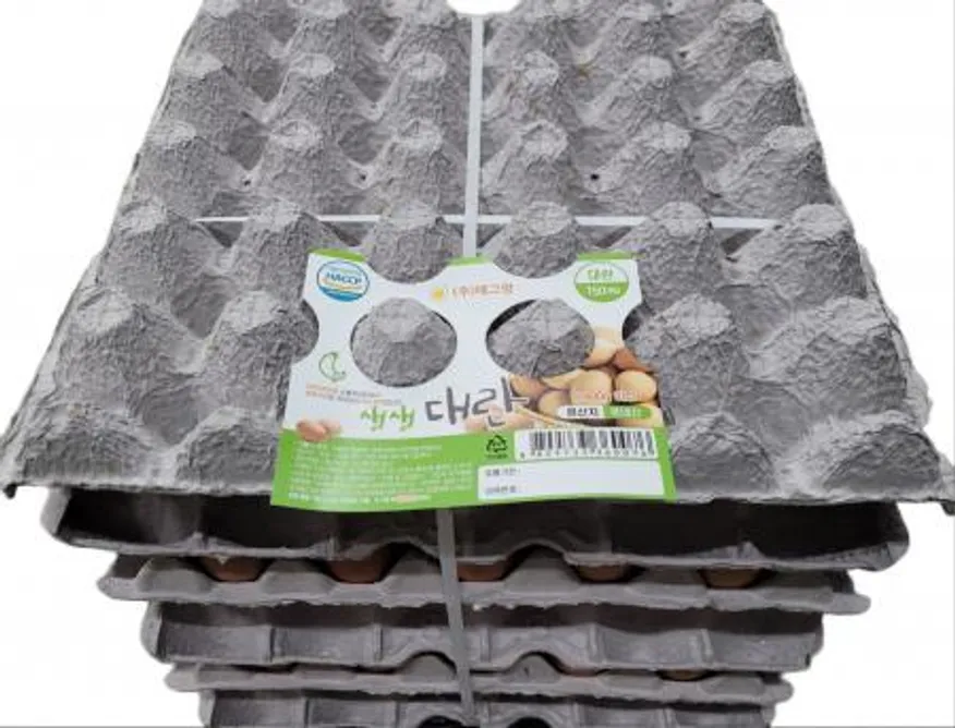 생생대란 이미지