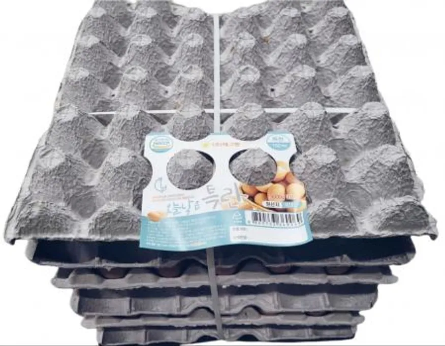 오늘낳은 특란 이미지