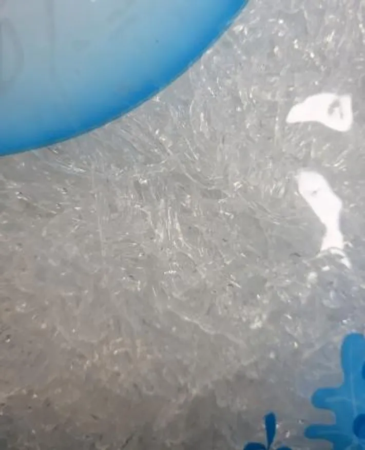 부광 천사채 小 일식용 1kg 이미지