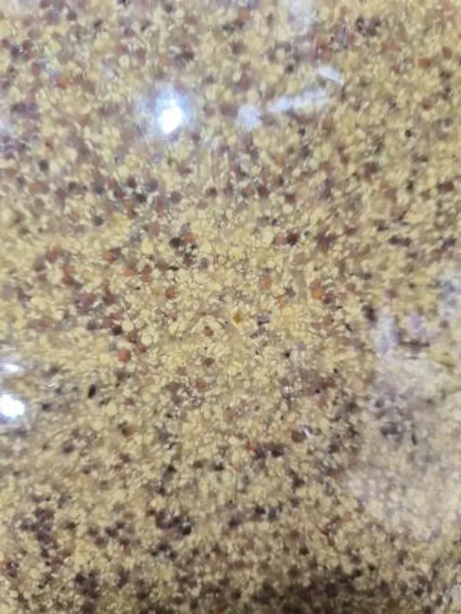 선인 프렌치타입 홀그레인머스타드 1kg 이미지