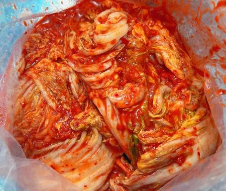 고향의맛김치 수입산김치 중국산김치 포기김치 생김치 10kg 식당 업소용 이미지