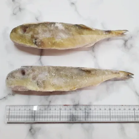 냉동 복어 밀복어 15kg 200-300 (60마리내외) 대용량 손질 복어 은밀복 이미지