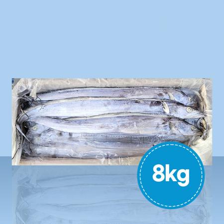 업소용 예멘 갈치 8kg 500-700 (토막안함)
