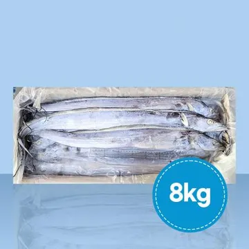 업소용 예멘 갈치 8kg 500-700 (토막안함)