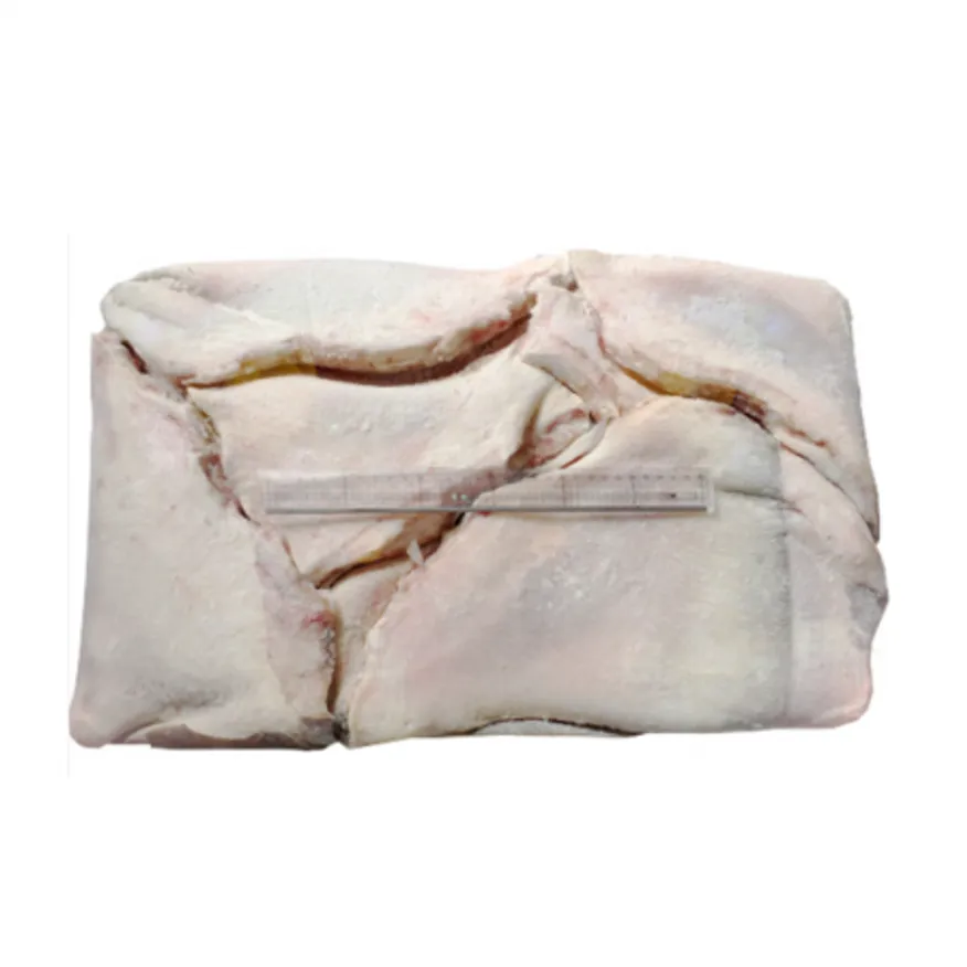 가오리 날개 17~18kg내외 대용량 냉동가오리날개 이미지