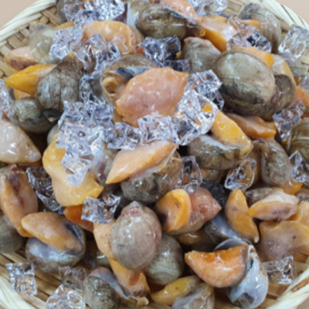 자연산 서해안 자숙 골뱅이 1kg 코고동 냉동골뱅이