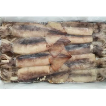 육동 오징어 3kg 9미 내외 냉동 통오징어