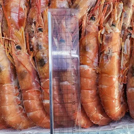 아르헨티나 붉은새우 2kg 대 L2 냉동생새우 홍새우 이미지