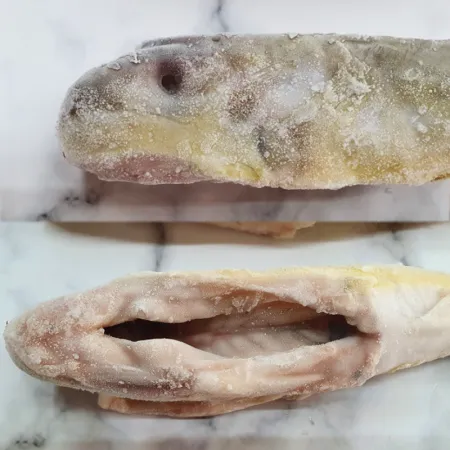 냉동 복어 밀복어 15kg 200-300 (60마리내외) 대용량 손질 복어 은밀복 이미지