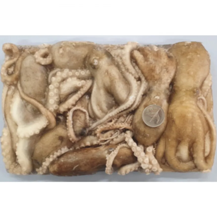 활낙지 850g 6미 냉동낙지 150-200 이미지