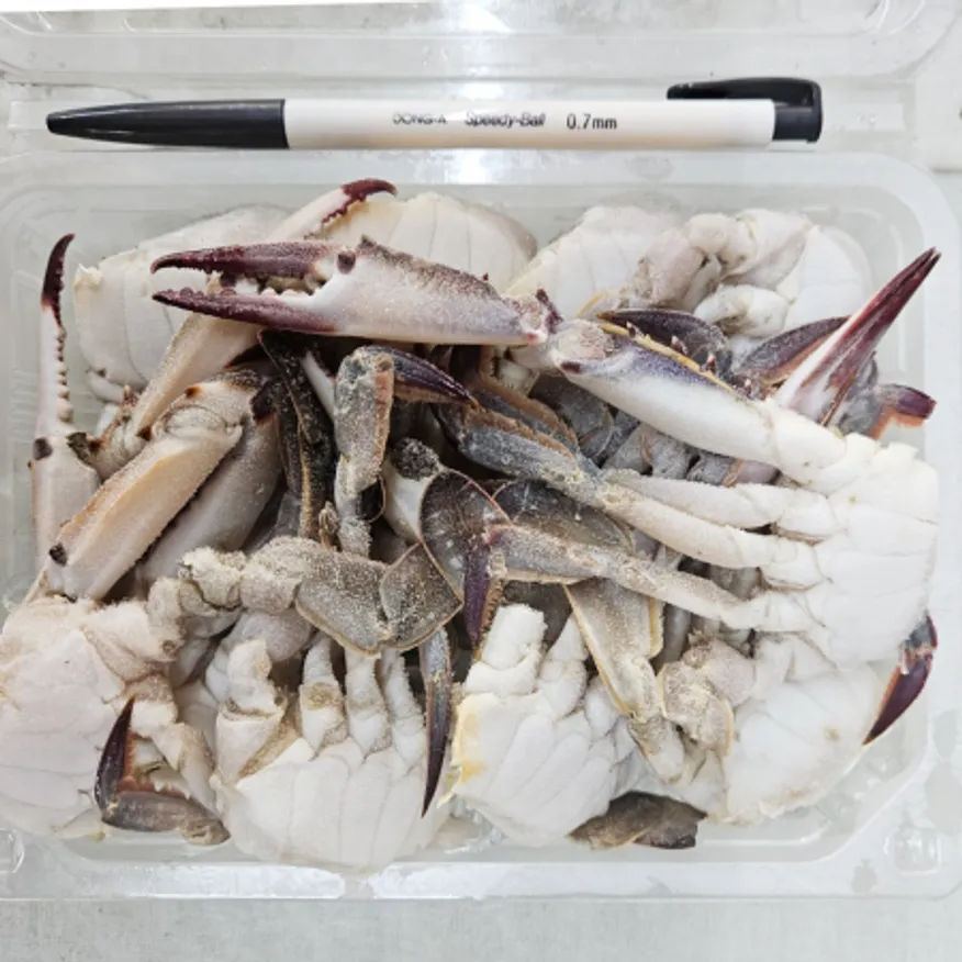 국내산 절단꽃게 1박스 8kg (400gx20팩) 냉동 국산 한팩당10조각내외 이미지