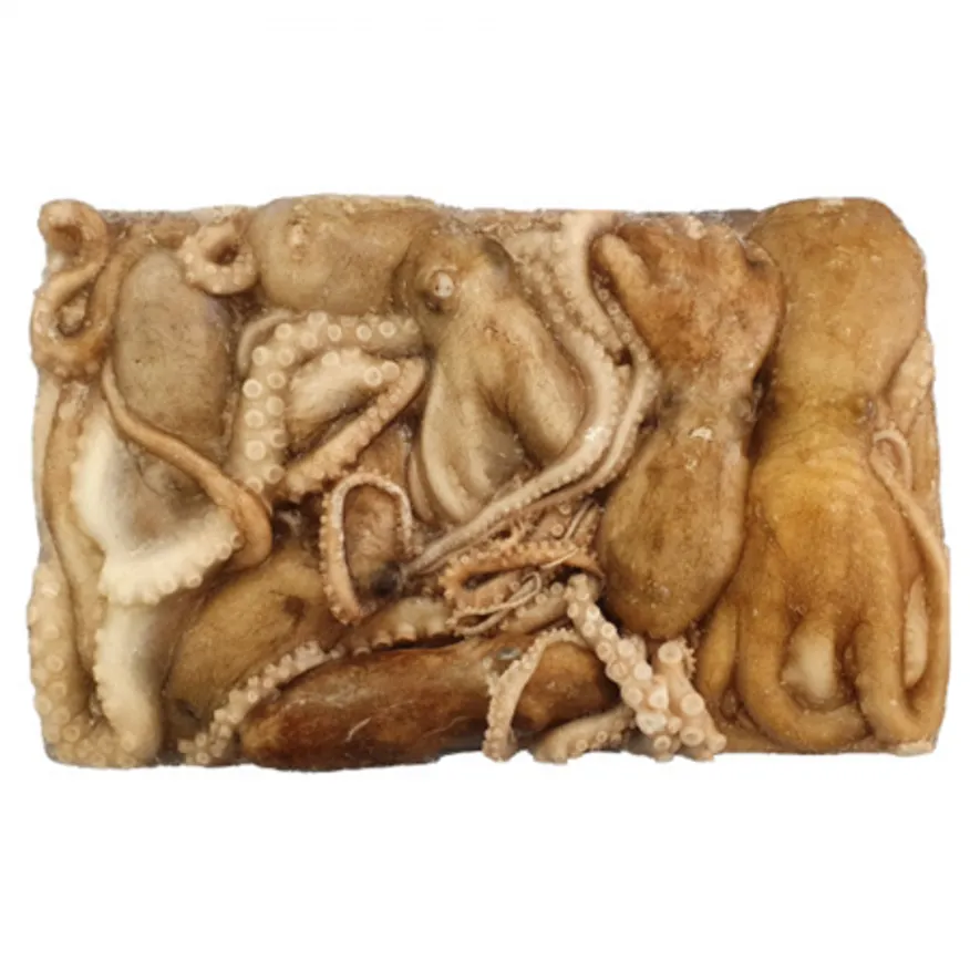 활낙지 850g 6미 냉동낙지 150-200 이미지