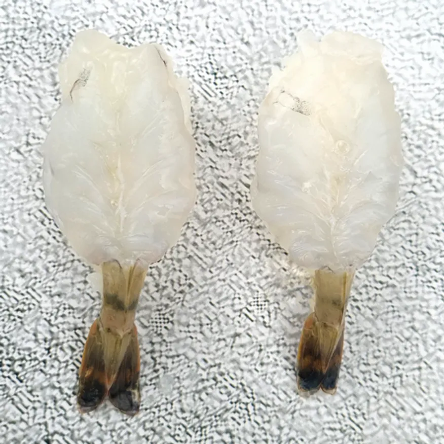 초밥용 청미새우 1박스4kg (200gx20팩) 한팩당10gx20미 이미지