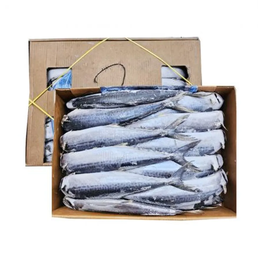 업소용 국내산 생물 원물 냉동 삼치 25kg 생선구이 대용량 도매 이미지