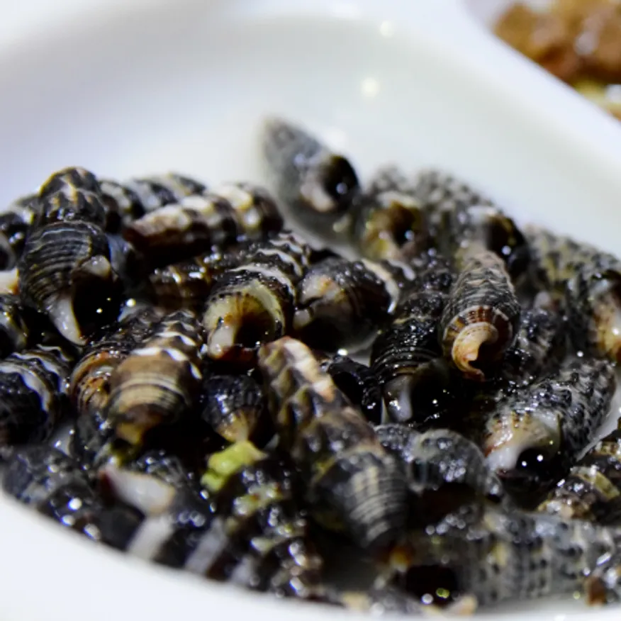 냉동 자숙 갯고동 1박스10kg (1kgx10팩) 바다 다슬기 이미지