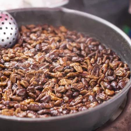 냉동 번데기 4kg 뻔데기 이미지