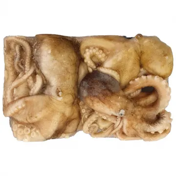 활낙지 850g 3미 냉동낙지 300up