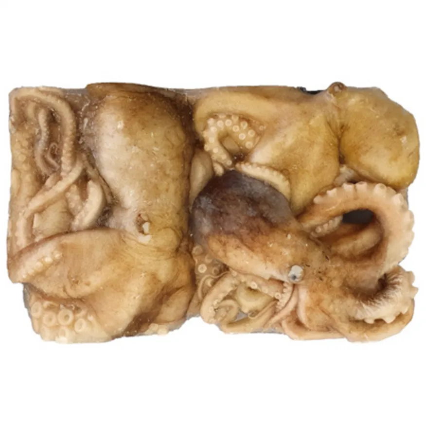 활낙지 850g 3미 냉동낙지 300up 이미지