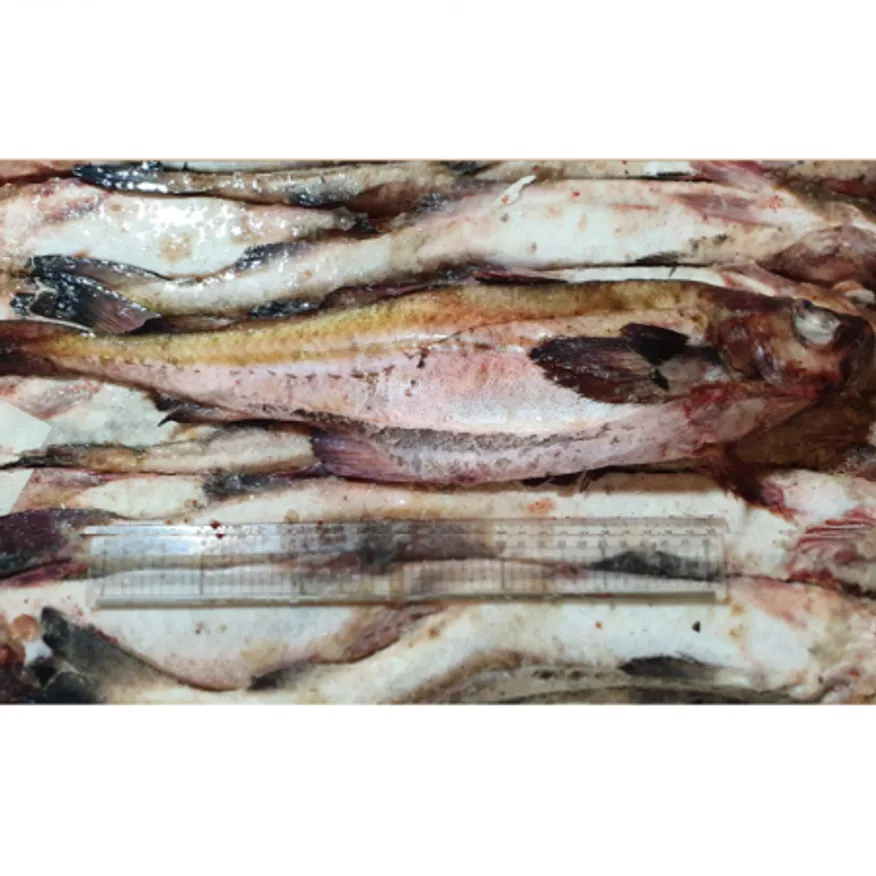 동태 7통 21.5kg 28마리 내외 대용량 냉동명태 이미지