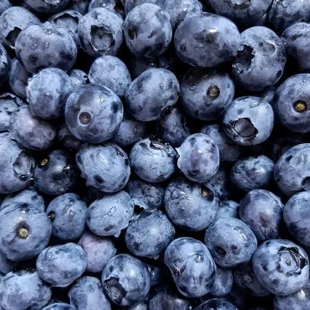 냉동 블루베리 1kg 세척 과일 (칠레) 이미지