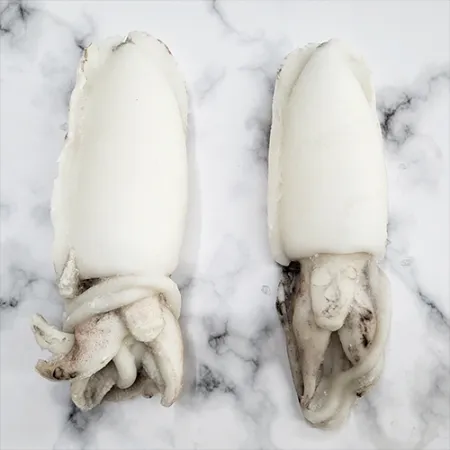 냉동 손질 갑오징어 홀크린 5kg 300-500 베트남 이미지
