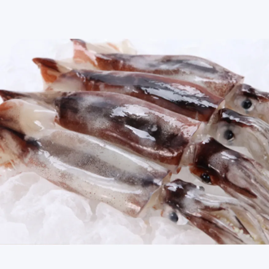 오징어 3kg 9미 육동 통오징어 냉동오징어 1box 이미지