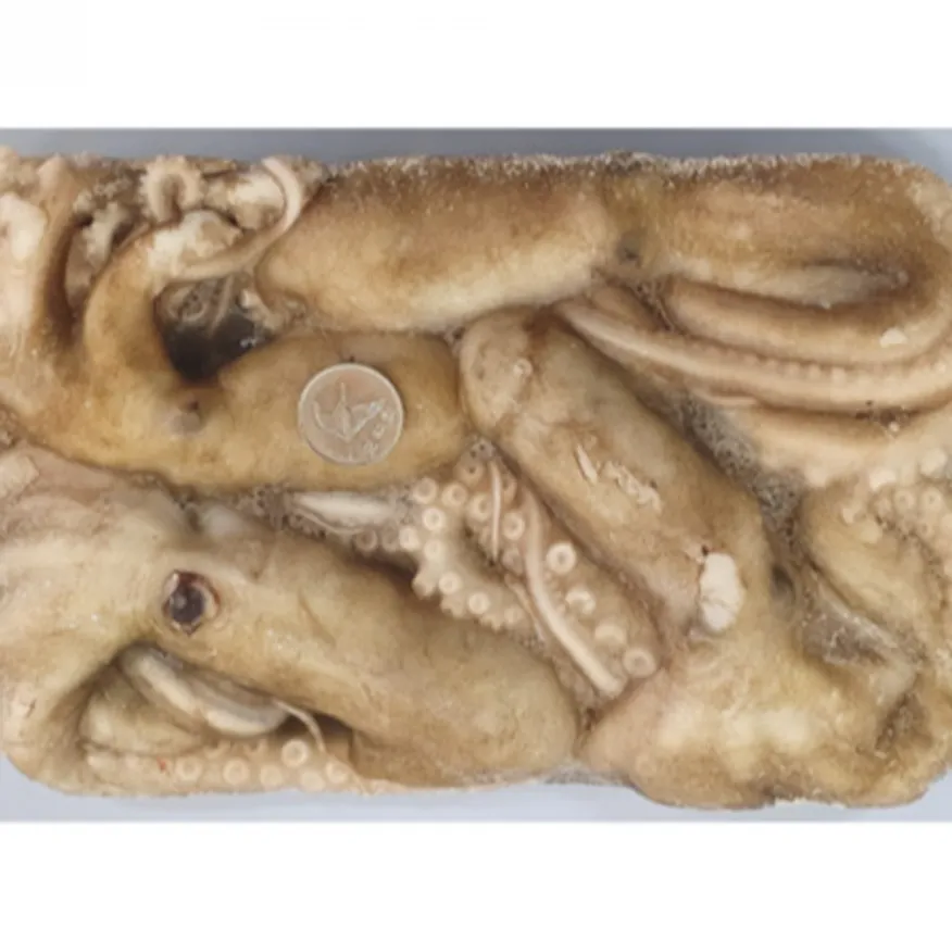 활낙지 850g 4미 냉동낙지 200-300 이미지