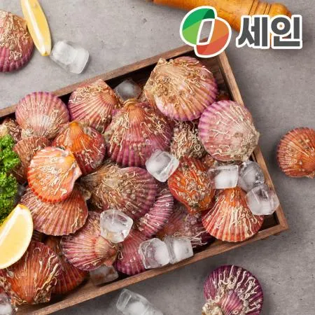 국산 홍가리비 냉동 가리비 조개 1kg