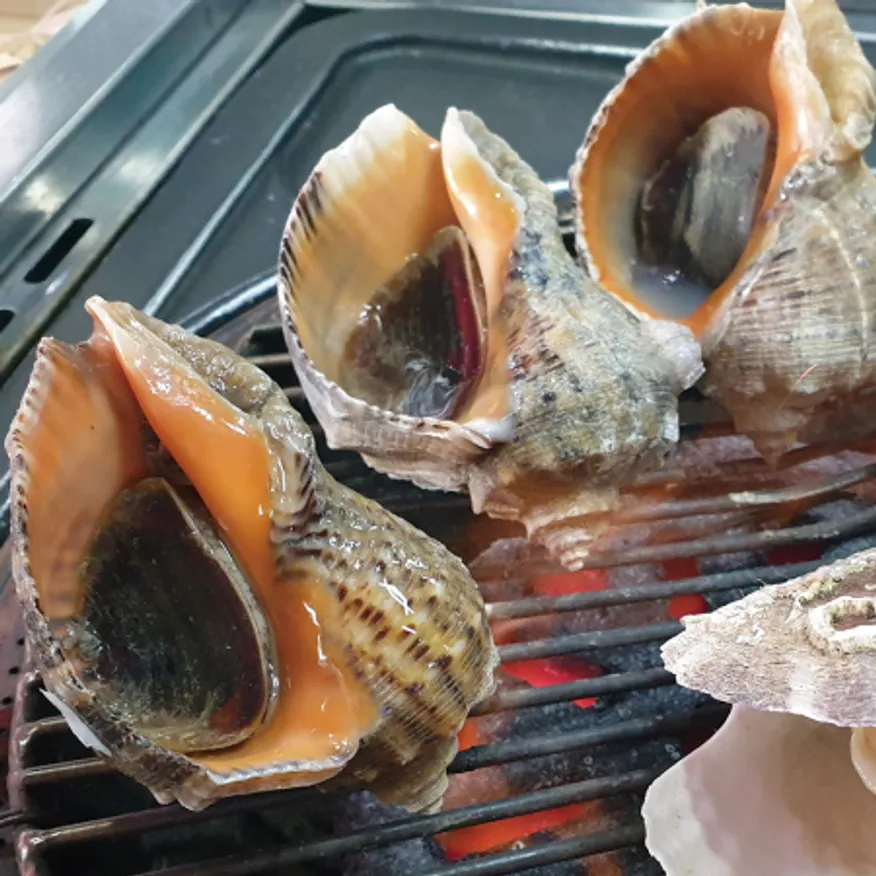 국내산 참소라 10kg 피참소라 이미지