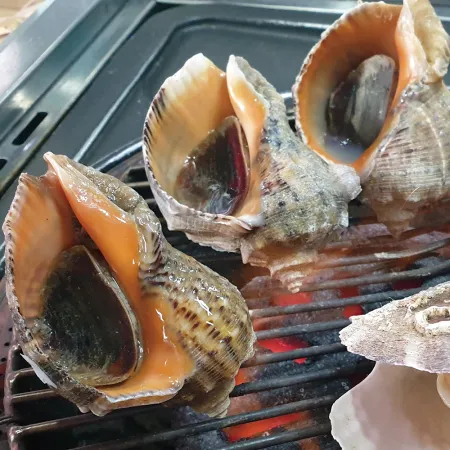 국내산 참소라 10kg 피참소라 이미지