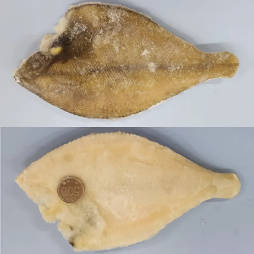 손질 두절 가자미 4.5kg(150-200) 中 25미내외 냉동가자미 이미지
