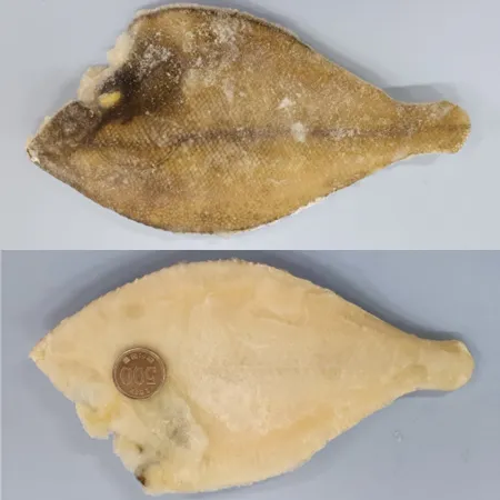 손질 두절 가자미 4.5kg(150-200) 25미내외 냉동가자미 이미지