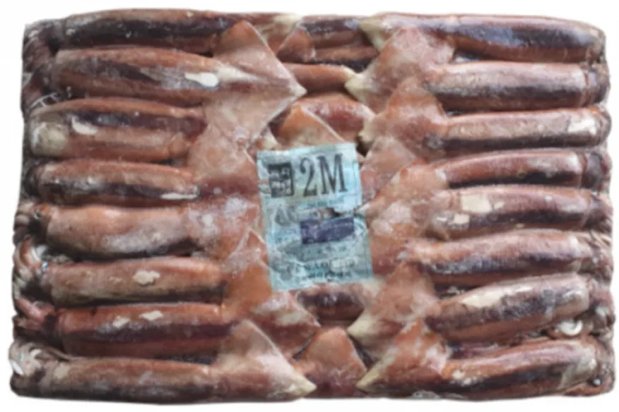 원양산 선동 오징어 20kg(M2) 65마리 내외 냉동 통오징어 이미지