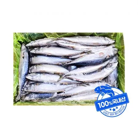 냉동 국내산 생물 고등어 약 30미 내외 업소용 도매 10kg 이미지