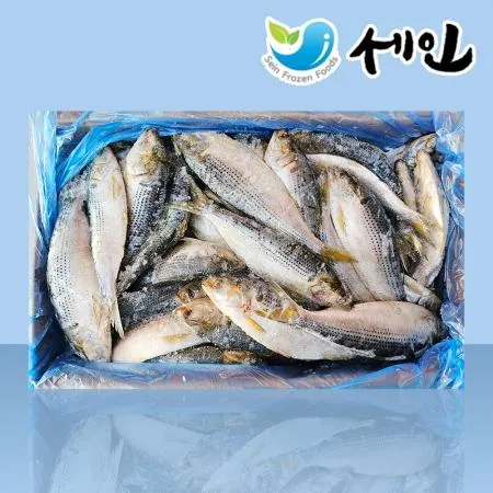 냉동 전어 국산 15kg 구이용 대용량