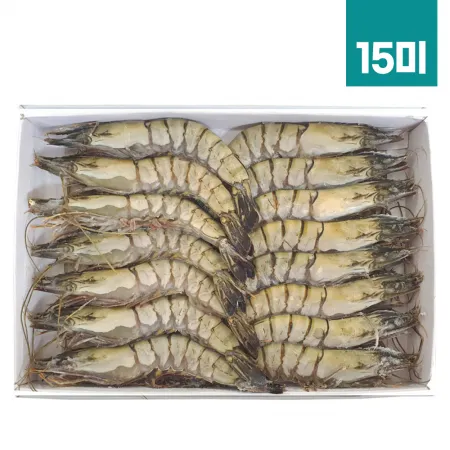 블랙타이거새우 500g 15미 냉동 대하 킹타이거 홍다리새우