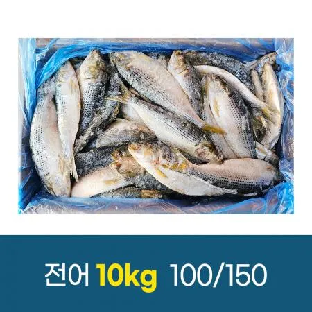 국내산 전어 10kg 100/150 구이용 이미지
